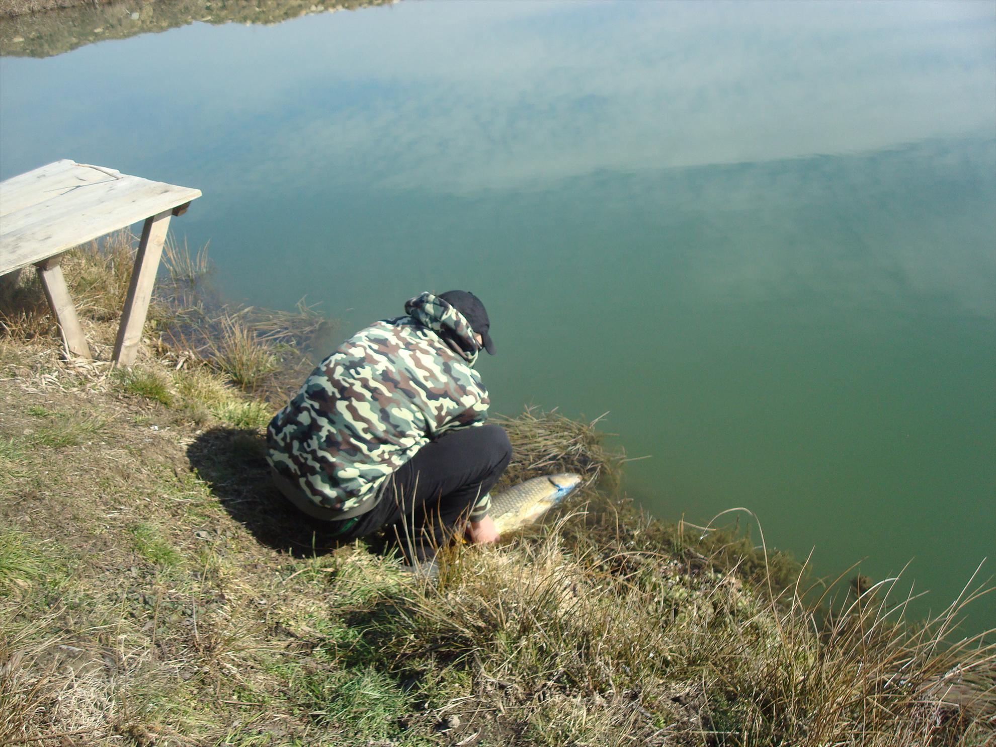 o balta din zona banatului montan - dsc07095.JPG